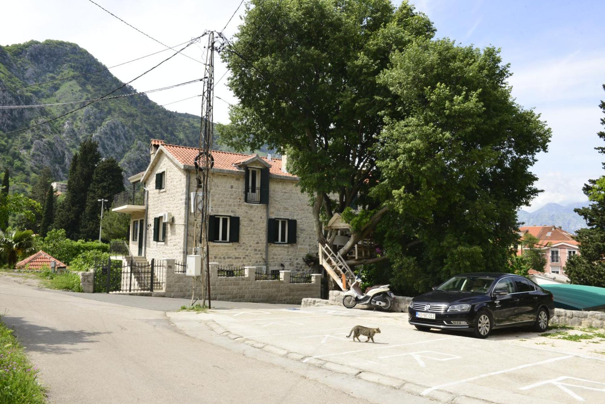 Andrea With Parking Apartment Kotor